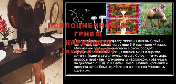 винт Балахна